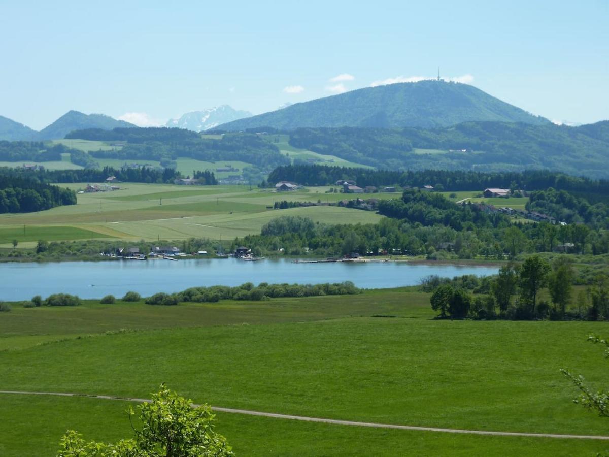 Ferienwohnung Eva Seekirchen am Wallersee Kültér fotó